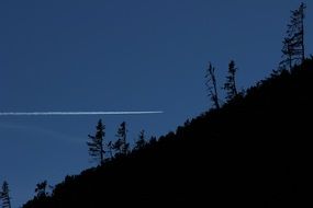 evening photo of forest in the mountains