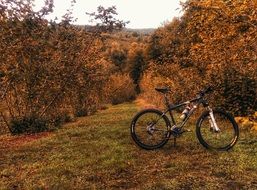 Bike Trail Ride