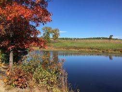 Fall Autumn Nature