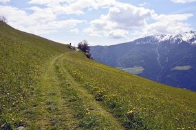 slope trail in South Tyro