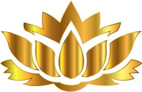 gold lotus on a white background