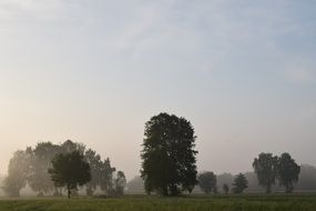 morning mist over the countryside