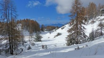 mountain winter landscape