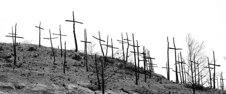 wooden crosses on a hill after a fire, black and white