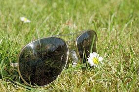 Sunglasses with light reflection on the grass with beautiful yellow and white flowers