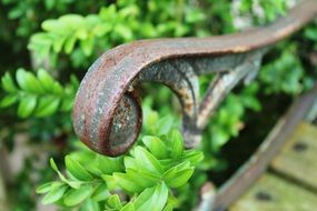 Metal bench in park