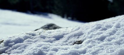 Snow in Nevada