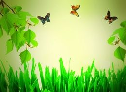 branches and Butterflies above Green grass, illustration, background