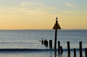 silhouettes on the seaside