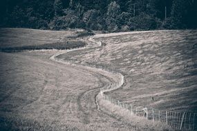 black and white image of arable field