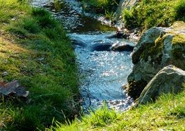 landscape of Bach Creek