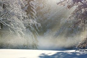 incredibly handsome Wintry Snow