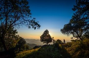 scenic sunset over the forest
