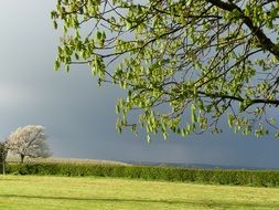 storm sky over green field