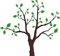 tree with Green leaves on Branches, drawing