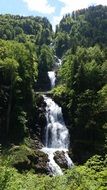 cascading waterfall among green trees