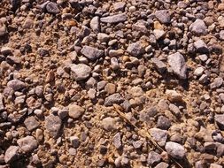 gravel lies in the mud close-up