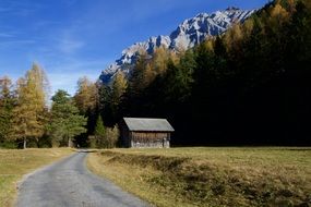 road among the autumn alps