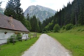 trail near a house in the forest