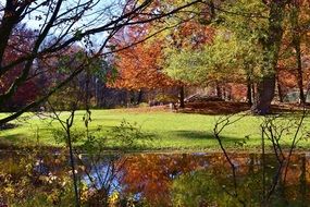 colorful autumn on the pond