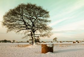 beautiful winter landscape