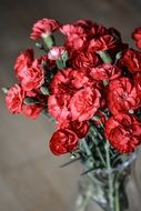 bouquet of red carnations in a glass vase