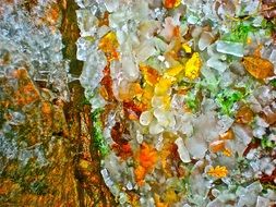 colorful autumn leaves in ice