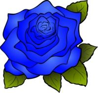 drawing of a blue rose with green leaves