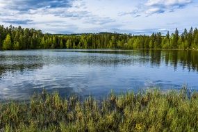 Landscape of the blue Lake in a Forest