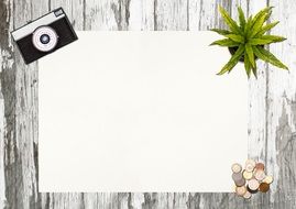 Camera Green Plant White Desk Blank Empty