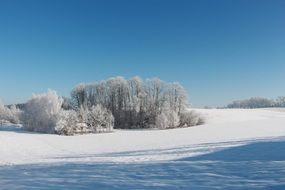 winter snowy landscape on a sunny day