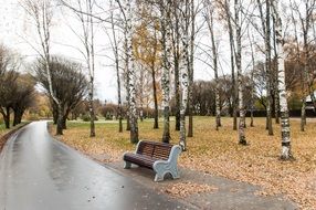 Autumn park with Bench at Asphalt road, russia