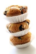 Vegan Blueberry Muffin