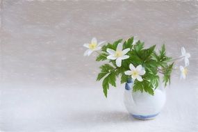 white flowers with green leaves in a cup