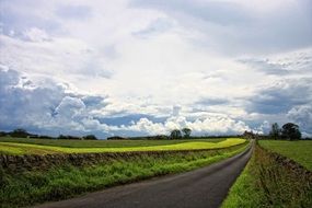 dirty road through scenic countryside