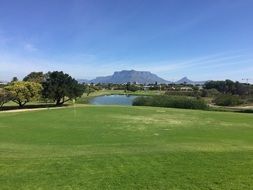 Golf lawn with the grass in summer