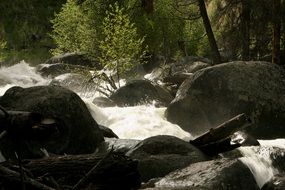 Whitewater Rapids, Creek