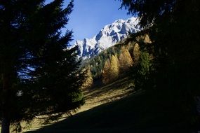 chic Mountains Alpine