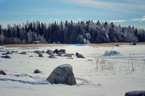 winter landscape in stones near a forest in Finland