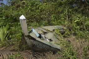 destroyed wooden boat in the jungle