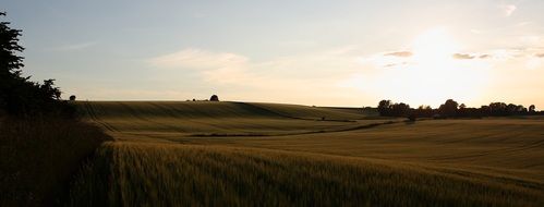 panoramic landscape of agricultural fields in Denmark