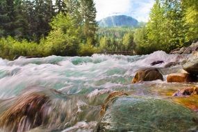 rapid water cascade of a creek