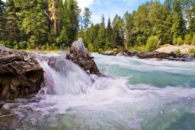 rapidly running water in the forest