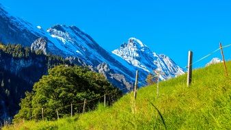 beautiful mountains in summer