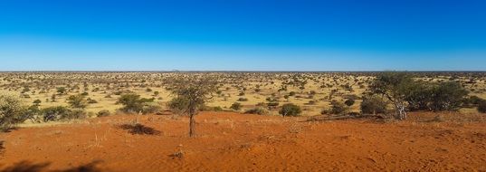 Africa Namibia Desert Wilderness Panorama
