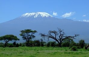 Beautiful landscape of Kenya on a sunny day