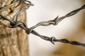 barbed wire as a fence