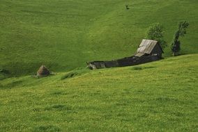 stunning Sheepfold Rustic