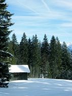 snowy landscapes in Riezlern