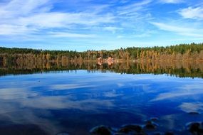 forest around a quiet lake in france